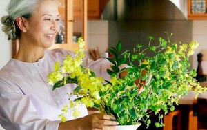 Để có tuổi già thoải mái, hãy tránh 6 sai lầm tiền bạc phổ biến này