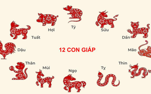 Chuyên gia dự báo: Từ giữa tháng 4 đến tháng 5, 6 con giáp có tín hiệu phục hồi tài chính, dễ gặp cơ hội tăng thu nhập và cải thiện dòng tiền