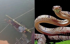 Cậu bé bị gia đình dìm nước sông 12 tiếng để chữa rắn cắn, chết thương tâm