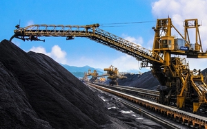 Kim cương đen' của Việt Nam lên ngôi giữa 'cơn khát' năng lượng - Tăng mạnh hơn 100% về lượng, Nhật Bản, Indonesia tranh mua