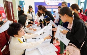 Cục thuế ra thông tư mới: Doanh thu hộ kinh doanh không còn “ước lượng, tự khai”