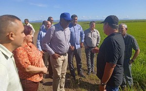 Cứ thứ Hai hàng tuần, nhiều người VN và nông dân Cuba cùng nhau làm 1 việc ý nghĩa trước khi ra cánh đồng