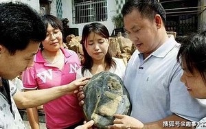 Nhặt viên đá có hoa văn lạ trên bãi biển, người đàn ông sững sờ khi chuyên gia định giá hơn 500 tỷ đồng