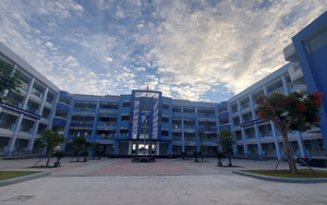 Đình chỉ cô giáo phạt 5 học sinh tự chích kim tiêm vào tay