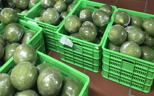 Tin vui: Loại quả Việt Nam trồng hơn 100.000 ha vừa chính thức có “visa” sang Trung Quốc