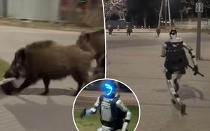 Robot hình người truy đuổi lợn rừng gây sốt mạng xã hội, phía sau là chiến dịch marketing gây tranh cãi toàn cầu