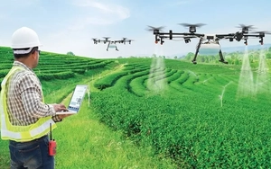 Vì sao cần đưa AI, robot xuống đồng ruộng?