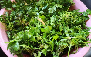 3 loại rau bổ gan, nên bổ sung ngay vào bữa ăn của cả nhà: Loại cuối cùng mọc hoang đầy Việt Nam