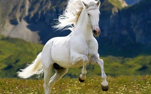 Chuyên gia dự báo: 5 năm tới, 3 con giáp có cơ hội bứt phá tài chính, thu nhập mở rộng từ nhiều nguồn