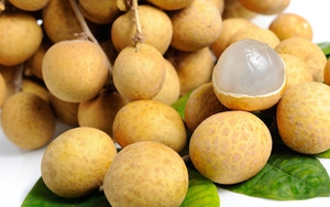 Loại quả bán đầy chợ Việt giá 15.000 đồng: Sang châu Âu hóa 'hàng hiệu' 600.000 đồng/kg, thu chục triệu USD