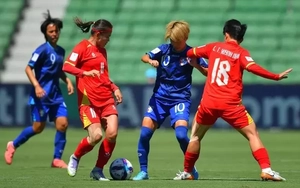 18 tuyển thủ cùng làm đơn, yêu cầu phế truất HLV trưởng người Thái Lan