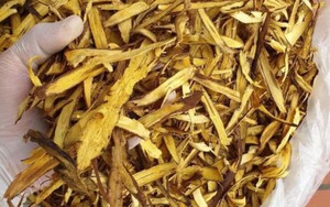 1 loại cây quý phơi khô là "khắc tinh của ung thư", hạ đường huyết hiệu quả: Rất sẵn ở Việt Nam