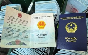 Chủ hộ kinh doanh nợ thuế bao nhiêu tiền sẽ bị tạm hoãn xuất cảnh?