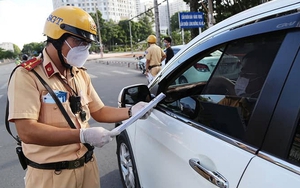 Người điều khiển xe ô tô sẽ bị tịch thu phương tiện trong những trường hợp nào?