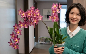 Trồng thử chậu lan vũ nữ da báo giá "bèo", mẹ đảm bất ngờ vì hoa nở rực rỡ suốt cả tháng, nhà cửa bừng sáng sinh khí