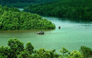 Nghiên cứu xác định "kho báu sống": Loài "tàng hình" từng bị nhầm gần 100 năm ở Việt Nam