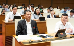 Trình Quốc hội quyết định việc thành lập TP Đồng Nai trực thuộc Trung ương