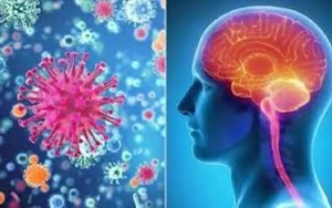 Khống chế thành công ổ dịch viêm não mô cầu ở Cà Mau