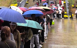 Tin rất vui: Đúng ngày 26/4, toàn bộ người dân Việt Nam được miễn phí một dịch vụ