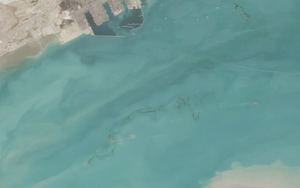 Ảnh vệ tinh phơi bày thảm hoạ dầu loang do xung đột Trung Đông