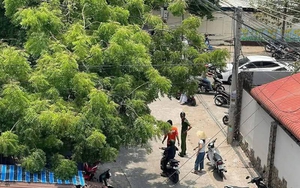 Mâu thuẫn cá nhân, một học sinh bị đâm tử vong ở Mũi Né