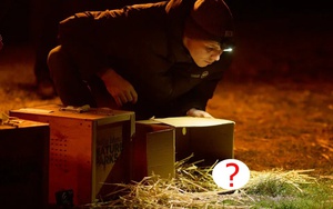 Loài vật từng bị tuyên bố tuyệt chủng bất ngờ "sống lại" sau 30 năm: Khoảng 100 cá thể đã trở về