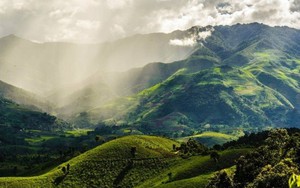 Thị xã ở Việt Nam quanh năm mát mẻ chỉ khoảng 20 độ, hàng vạn người tới đây tránh nóng: 4 năm liền được vinh danh "hàng đầu châu Á"