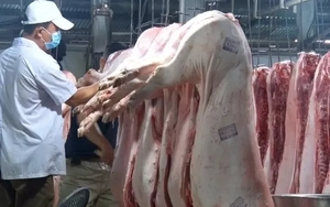 Cựu cán bộ Cục Thú y: 'Kiểm dịch là mảnh đất màu mỡ, béo bở nhất'