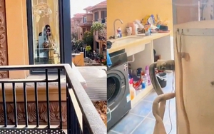 Đi công tác 6 tháng không về, cô gái sốc nặng khi phát hiện ban công hàng xóm lấn sát cửa sổ phòng ngủ: Cơ quan chức năng vào cuộc