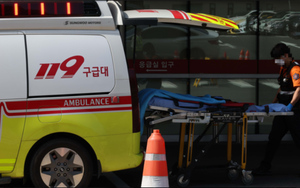 Hàn Quốc: Sản phụ mang thai đôi bị 7 bệnh viện từ chối, 1 bé tử vong, 1 bé tổn thương não