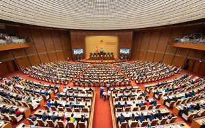 Nhiệm vụ và quyền hạn của Chủ tịch nước, Thủ tướng Chính phủ