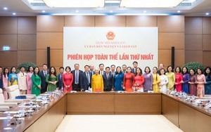 Danh sách nhân sự Ủy ban Dân nguyện và Giám sát của Quốc hội