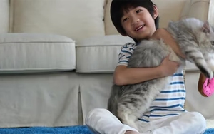 Cậu bé gần như mất thị lực vĩnh viễn do thói quen ôm mèo mà không rửa tay