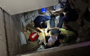 Mải mê livestream, một phụ nữ ngã xuống chân cầu Biển Hồ