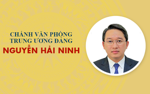 Infographic: Sự nghiệp Chánh Văn phòng Trung ương Đảng Nguyễn Hải Ninh
