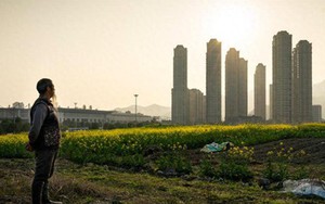 Về quê dịp Thanh minh, tôi nhận ra: Có những quyết định tiêu tiền tưởng “đổi đời” nhưng lại khiến nhiều gia đình lao đao