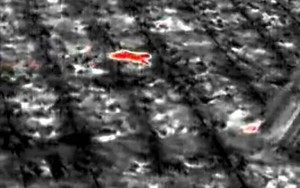 Sinh vật bí ẩn phá nát vườn chuối suốt 2 tuần: 60 người truy tìm khi camera nhiệt ghi lại bóng dáng lạ