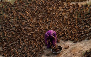 Cảnh tượng chưa từng thấy ở Ấn Độ: Khắp đường phố "xuyên không" về thời đồ đá, người dân phải dùng nguyên liệu thô sơ nhất để nấu ăn