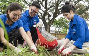 Tin vui: Hàng nghìn người ở Việt Nam tham gia một thử thách do quỹ của tỷ phú Phạm Nhật Vượng phát động