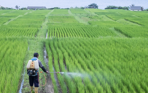 Phát minh của Trung Quốc xoay chuyển ngành phân bón: Ép chất thải độc hại thành nguyên liệu cho nông nghiệp, hiệu suất cao gấp 3 lần bình thường