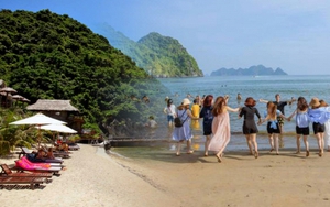 Chơi gì ở bãi biển Cát Bà, Cát Hải?