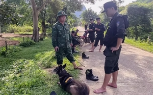 Nghi phạm sát hại vợ cũ treo cổ tự tử trong lán rẫy sau lời nhắn 'nguyện chết cùng ngày' trên Facebook