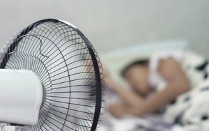 Khi đi ngủ nên bật quạt hướng vào đầu hay hướng vào chân? Đáp án gây bất ngờ
