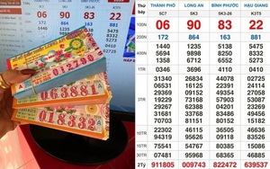Một người trúng tới 320 tờ vé số: Tiền thưởng bao nhiêu?