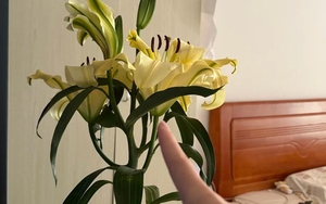 Kiểm tra phòng ngủ của bạn: Nếu vẫn giữ 6 món đồ này, giấc ngủ có thể đang “xuống cấp” từng ngày mà bạn không nhận ra