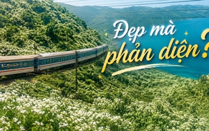 "Thiên đường hạ giới" đang phủ trắng muốt đèo Hải Vân khiến bao người đắm say: Đẹp đến đâu, đáng lo đến đó!
