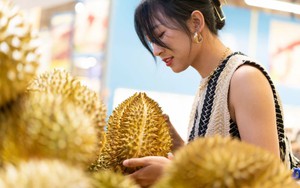 Khi Trung Quốc thay đổi, Việt Nam tăng tốc: 'Ngôi vương’ Thái Lan đối mặt thách thức từ mọi phía