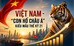 Từ âm thầm trỗi dậy đến tiếng gầm vang dội: Việt Nam sở hữu vũ khí gì để hóa "siêu hổ" Châu Á thế kỷ 21?