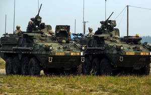 Ukraine sẽ nhận thiết giáp Stryker 'gần như miễn phí' nếu Ba Lan từ chối?