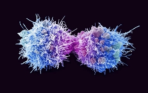 Loại virus âm thầm có thể gây ung thư ở cả nam và nữ